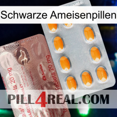 Black Ant Pills new13
